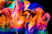 Sacred: Vibrant Paint Textures, a Texture Graphic by Chroma Supply (Thumbnail 4 of 11)
