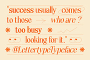 Lettertype a Stunning Display Serif, a Serif Font by Lettertype Studio (Thumbnail 5 of 20)