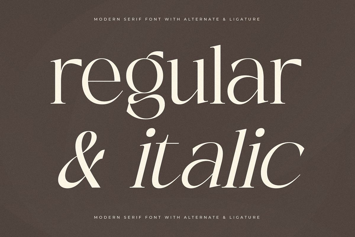 Adogare Modern Serif Font, a Serif Font by Storytype Studio (Photo 4 of 15)