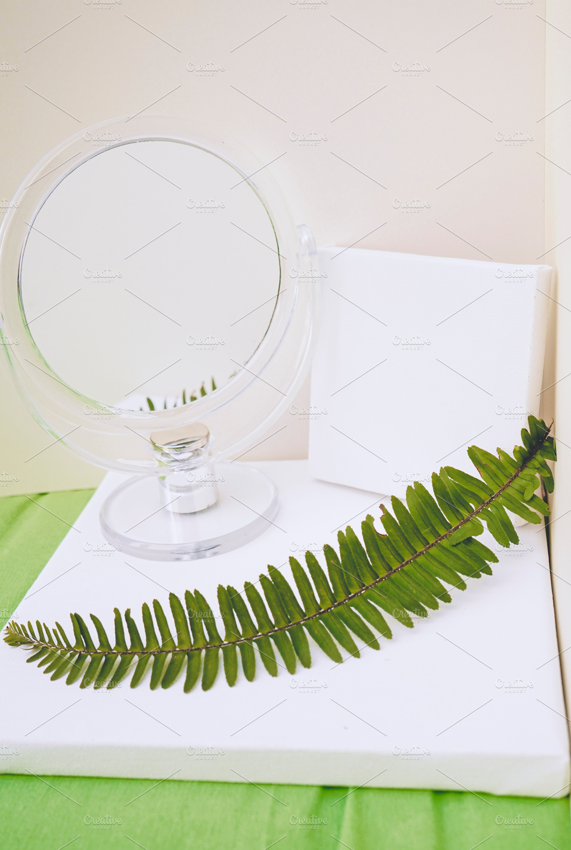 Clean and natural mockup in green and neutral tones, a Photo by NanihtaCreative