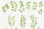 Eucalyptus Branches Collection, an Illustration by Helga Wigandt (Thumbnail 2 of 5)