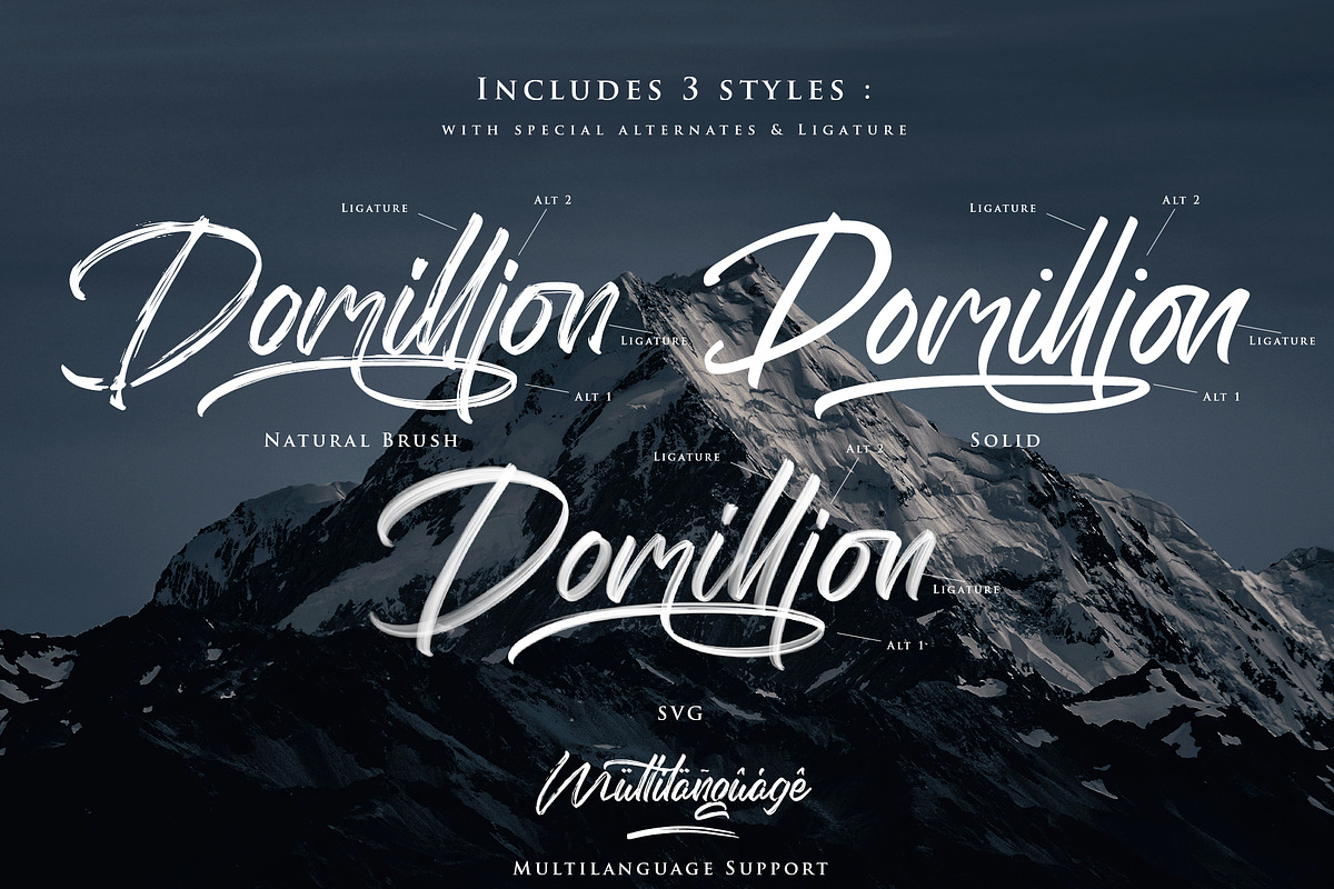 The Domillion Brush Font, a Script Font by Ardyanatypes (Photo 9 of 11)