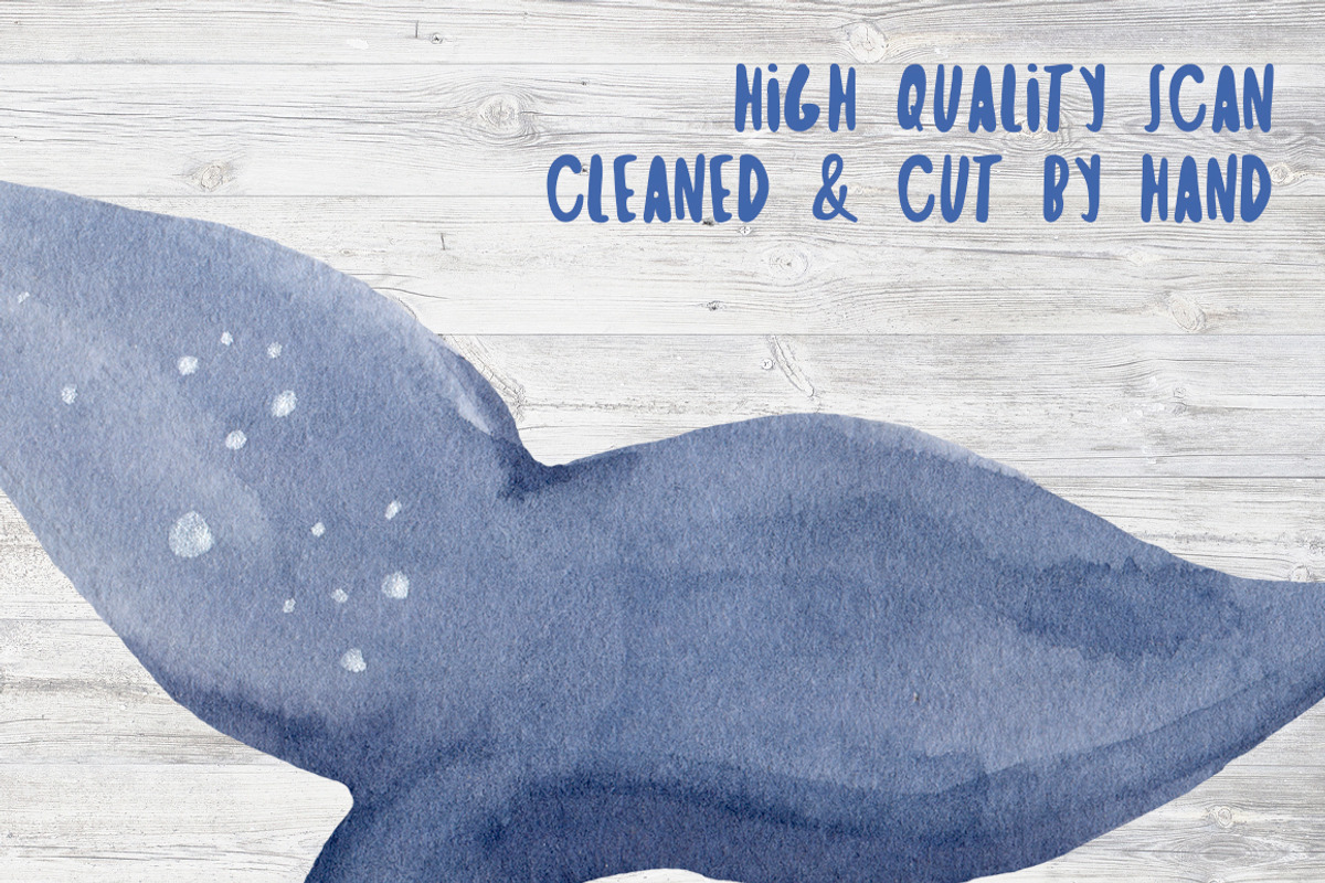 Antarctic Christmas Watercolor Set, a Decorative Illustration by Sha1nee (Photo 5 of 7)