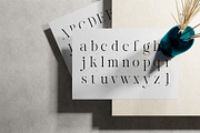 Reichamerina font family, a Serif Font by Ryul Davidson (Thumbnail 9 of 27)