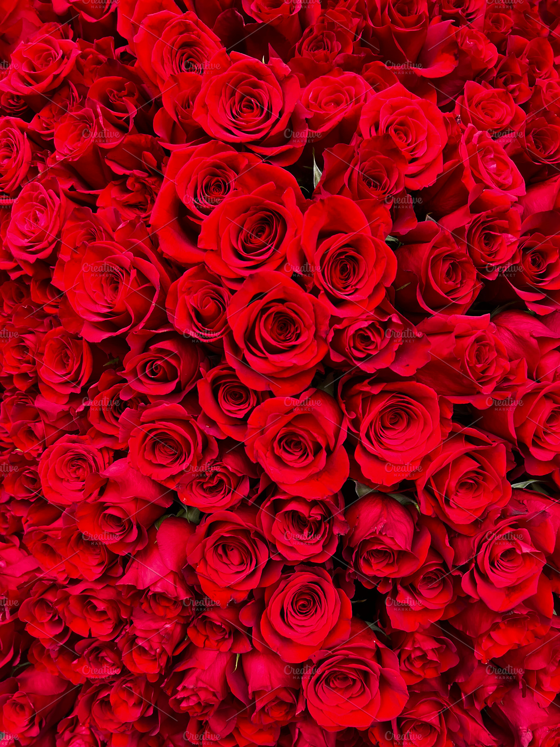 Natural red roses background, a Photo by Photos from the Heart