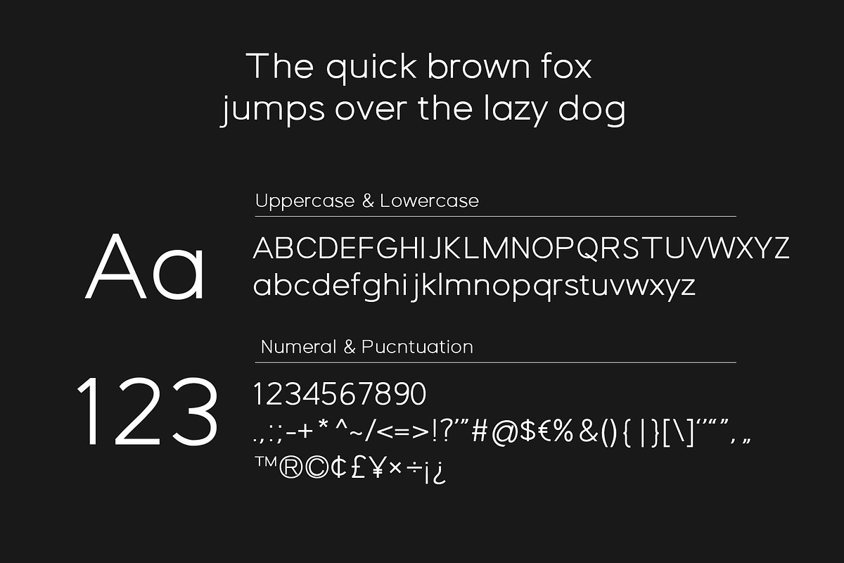 Forzan - Sans Serif Typeface, a Sans Serif Font by Mytype Studio (Photo 5 of 10)