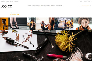 .co Co - Shopify Theme