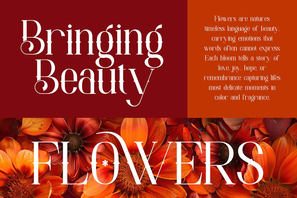 Grotha || Modern Vintage Serif Font, a Font by Ermedia Studio (Photo 8 of 10)
