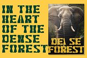 Roxom Font, a Serif Font by IWMType (Thumbnail 3 of 6)