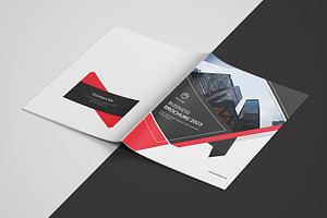 Business Brochure Company Profile