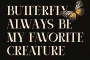Casthelic - Elegant Serif Typeface, a Serif Font by Dryy.type (Thumbnail 3 of 11)