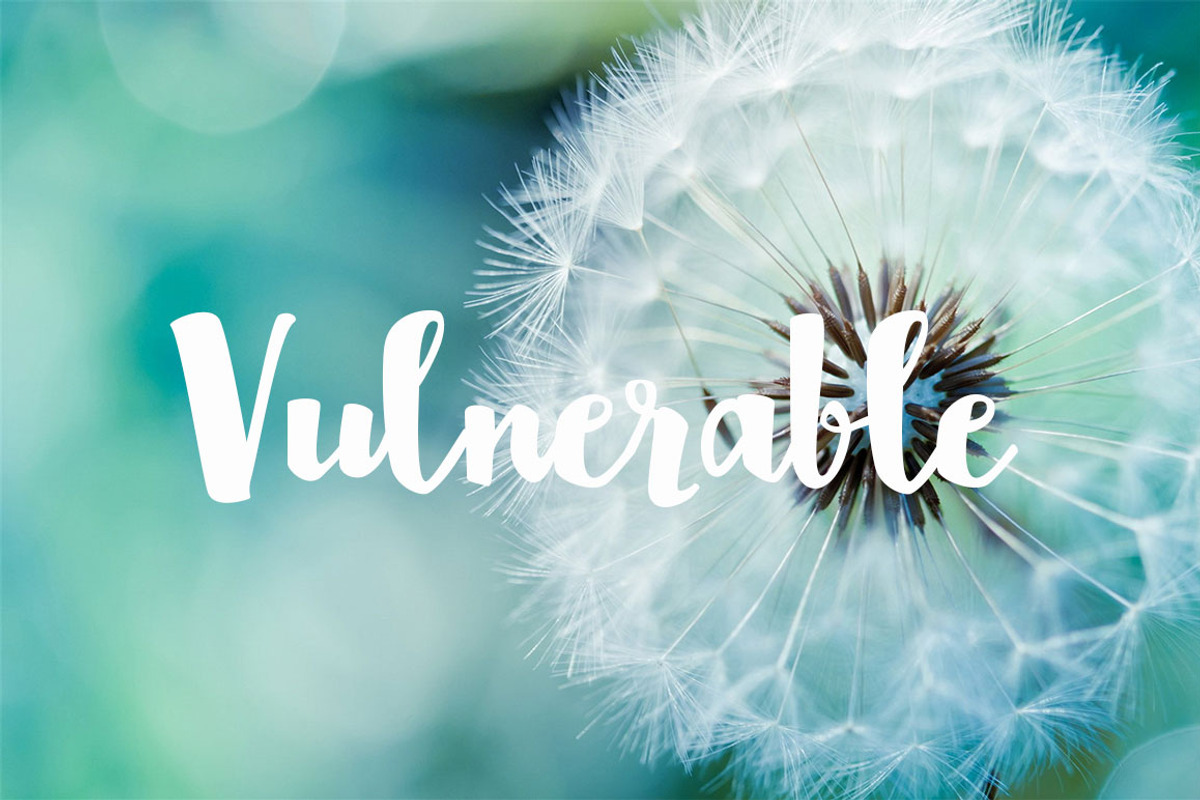 Volk Life Typeface, a Script Font by Face Lab (Photo 5 of 5)