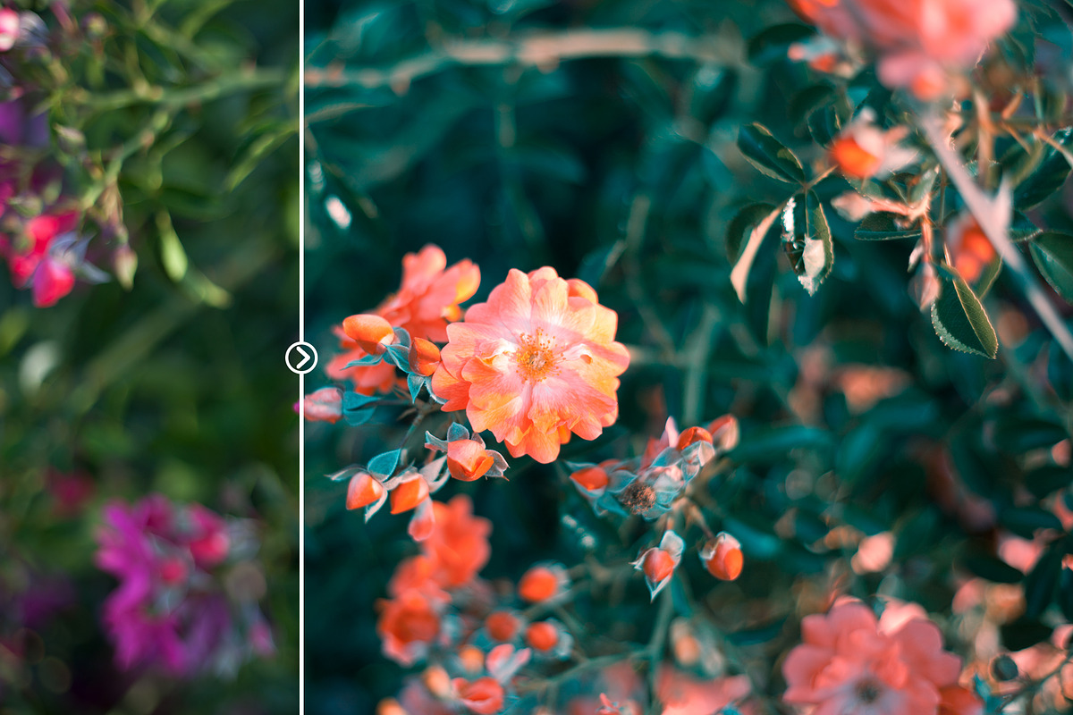Orange & Teal Lightroom Presets preview 4