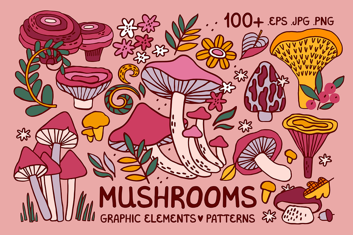 MUSHROOMS | graphics set, a Food Illustration by Nastya Tkachova (Photo 1 of 10)