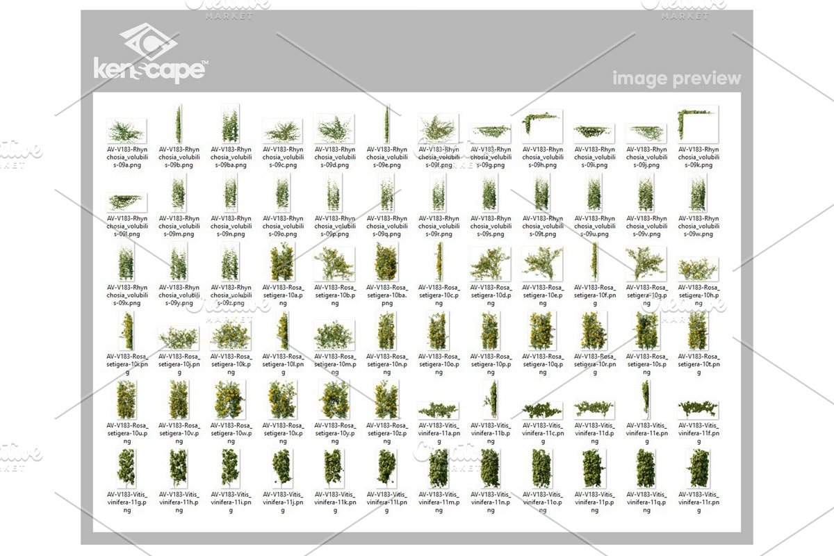 72 Vines & Creepers Photo Overlays, a Nature Photo by KenScape (Photo 3 of 3)