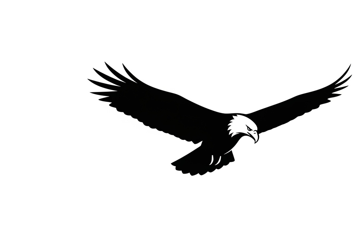 Powerful eagle flying wall art desig, an Illustration by Amazin_art (Photo 13 of 31)