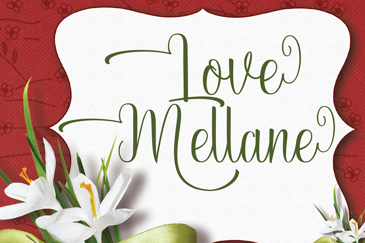 Habbiet, a Script Font by PollemSt (Photo 6 of 7)