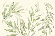 Watercolor set of olive branches, an Illustration by My art shop (Thumbnail 2 of 2)