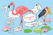 Cute African animals, an Animal Illustration by Haso (Thumbnail 9 of 11)