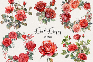 Red Roses Watercolor Clipart. AI