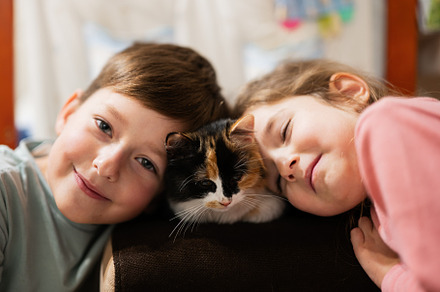 Brother and sister with kitty cat. Children's love for pets., an Animal Photo by AS photostudio