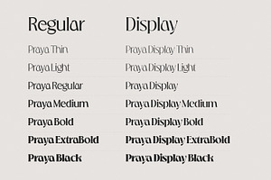 Praya - Modern Branding Font