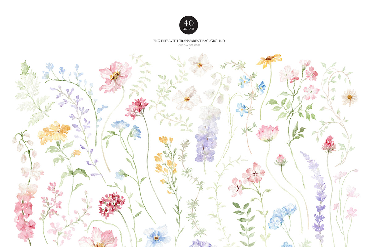Watercolor Flower -PASTEL WILDFLOWER, a Decorative Illustration by Beigetime (Photo 3 of 15)
