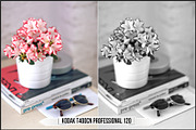 Eastman Kodak Black White Films LUTs, a Plug-in Add-On by Raztrend (Thumbnail 10 of 30)