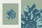 Printed Botanical Graphics, an Object Graphic by Neatly Made Studio (Thumbnail 7 of 17)