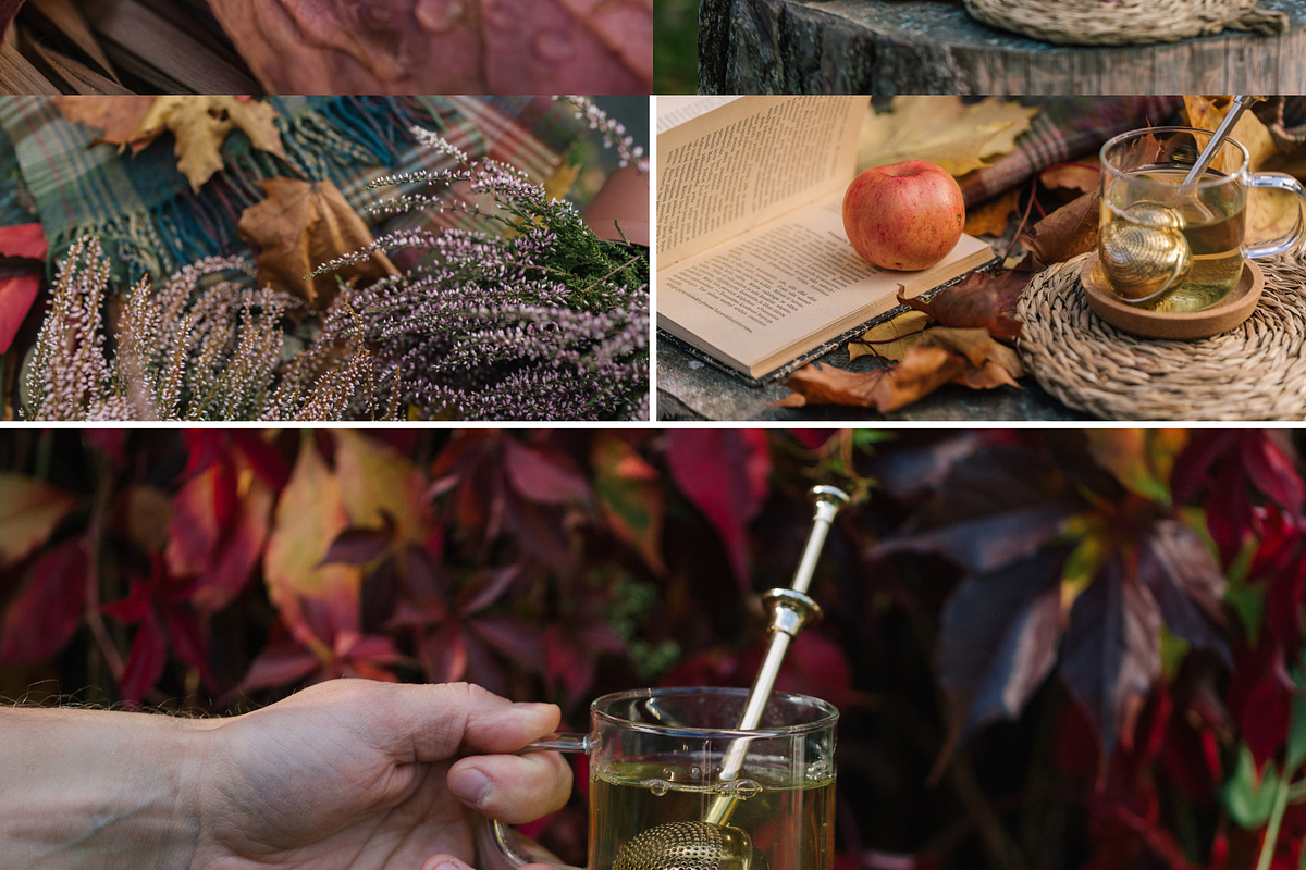 Fall Stories - stock photo bundle, a Nature Photo by Nellaino (Photo 2 of 2)