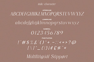 Cafock Molline Elegant Serif Typefac