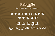 Rebmale Modern Serif, a Serif Font by Moodtype (Thumbnail 7 of 7)
