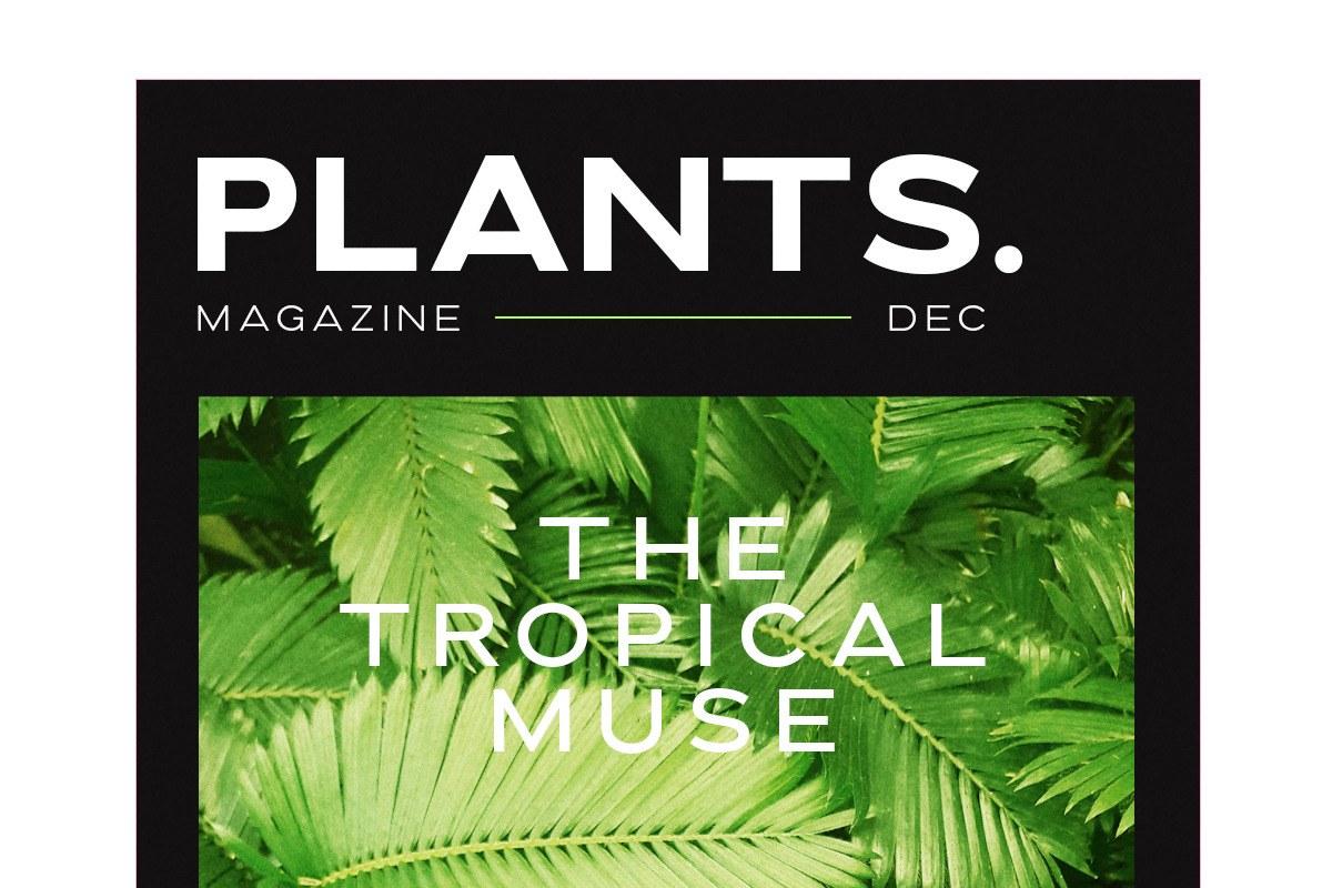 Downey - Powerful Wide Sans, a Sans Serif Font by Sarid Ezra (Photo 5 of 9)