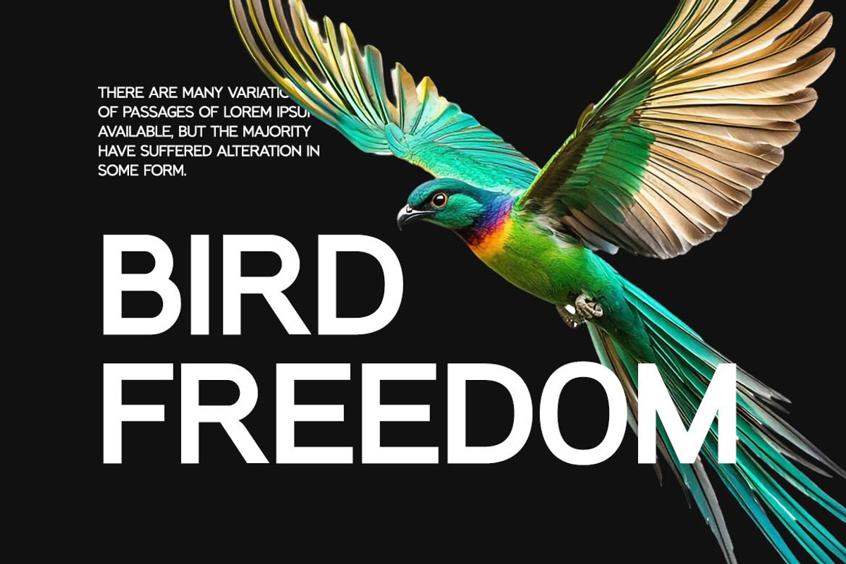 Modular Black Sans Serif Family Font, a Sans Serif Font by UICreative (Photo 7 of 13)