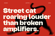 Dashes - Bold Font, a Sans Serif Font by limitype (Thumbnail 2 of 12)