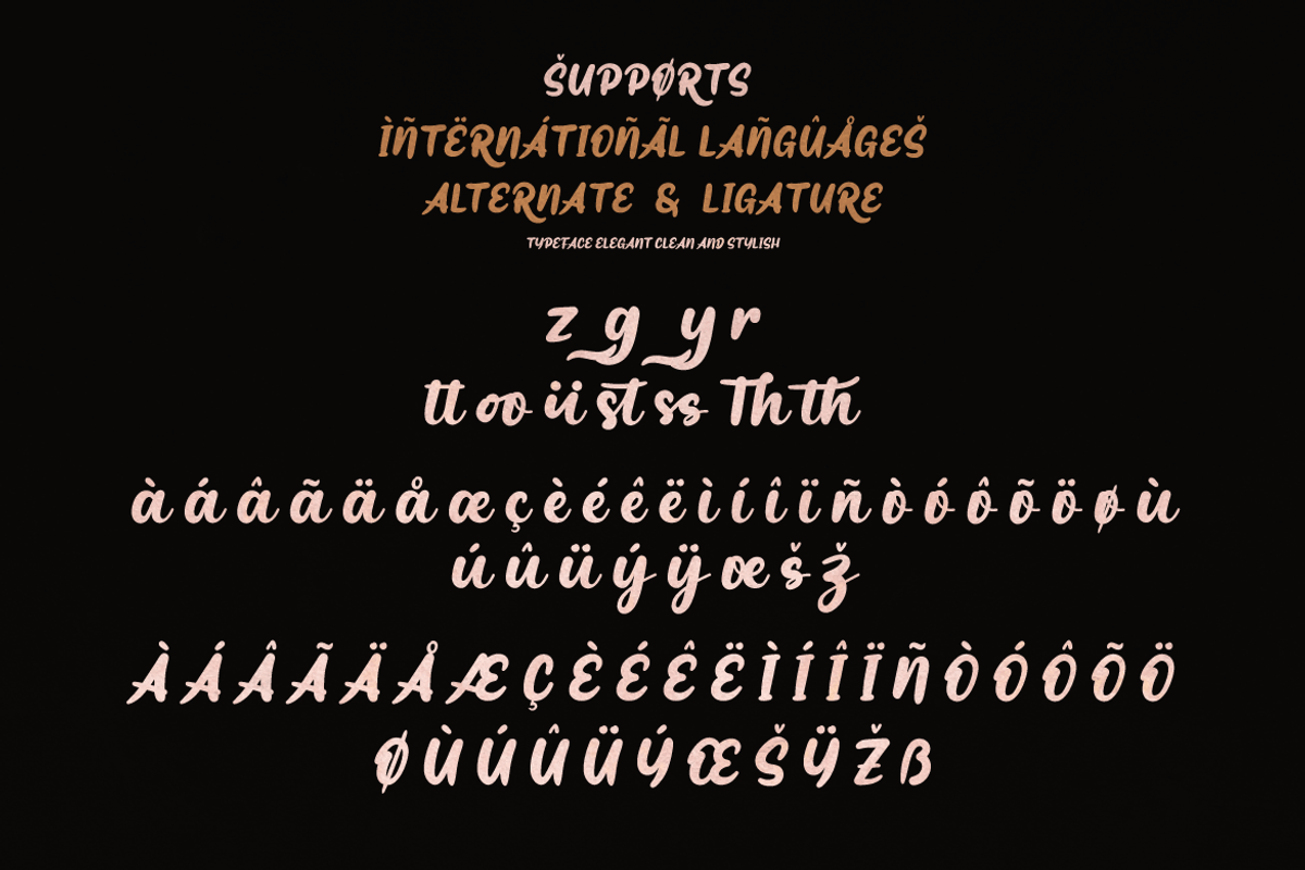 Resty Script, a Script Font by twinstd (Photo 10 of 11)