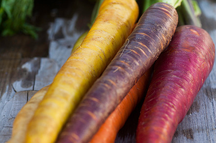 Red Chard preview 6