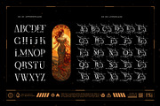 Starust Typeface, a Serif Font by alit design (Thumbnail 19 of 20)