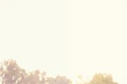 10 Gold Light Lightroom Presets, an Action Add-On by Winsome Effects & Co. (Thumbnail 3 of 4)