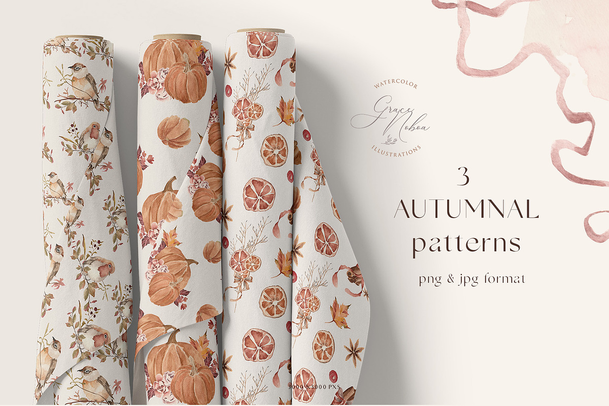 Fall Autumn set- Pumpkins & Florals, a Seasonal Illustration by Grace Noboa Illustrations (Photo 10 of 13)