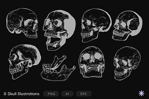 Vector Skulls | Illustration set