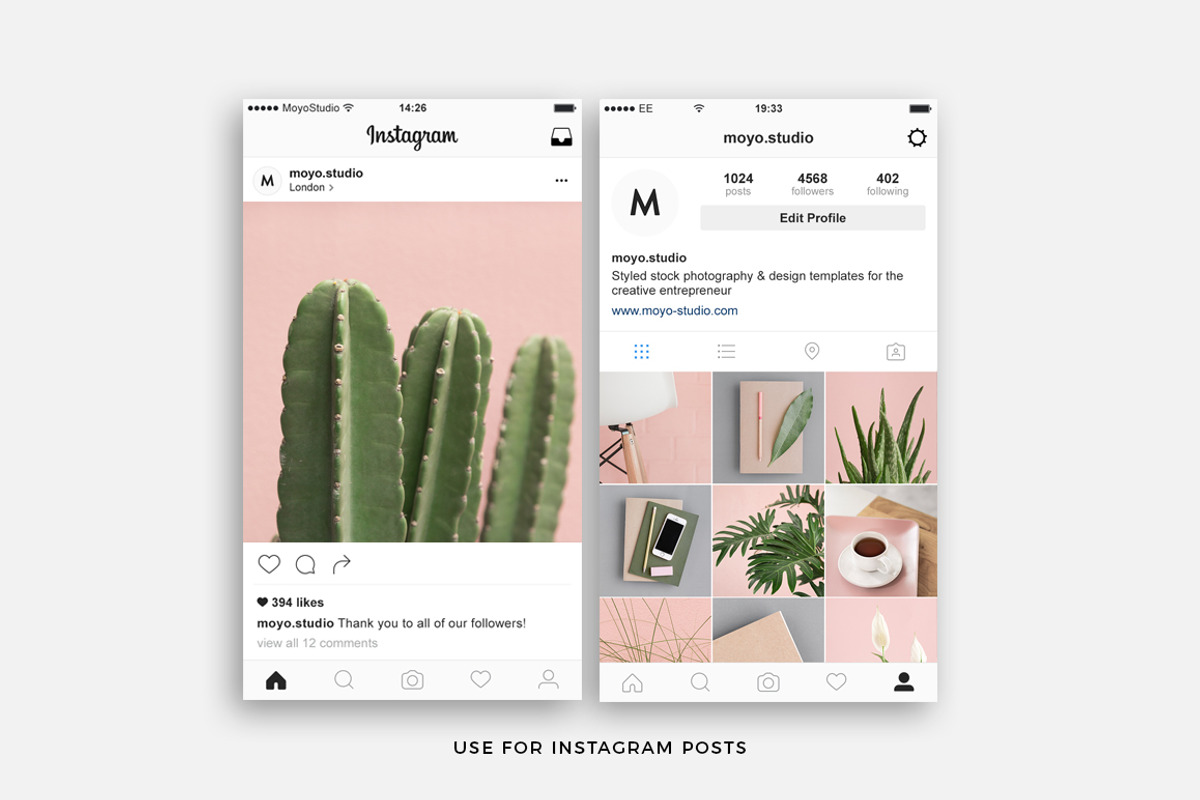 Pink & Botanical Stock Photo Bundle, an Abstract Photo by Moyo Studio (Photo 4 of 10)