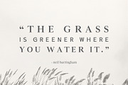 Denish Sans & Serif Duo Font Family, a Serif Font by Creativetacos (Thumbnail 3 of 12)