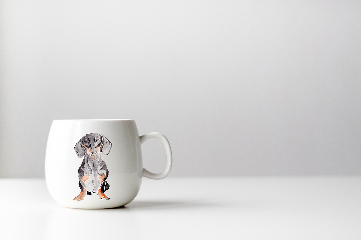 Dachshund Dog Illustration, an Illustration by Foxery Digital (Photo 4 of 5)