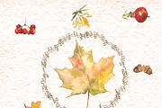 Yellow autumn watercolor, an Animal Illustration by JuliaFast (Thumbnail 6 of 7)
