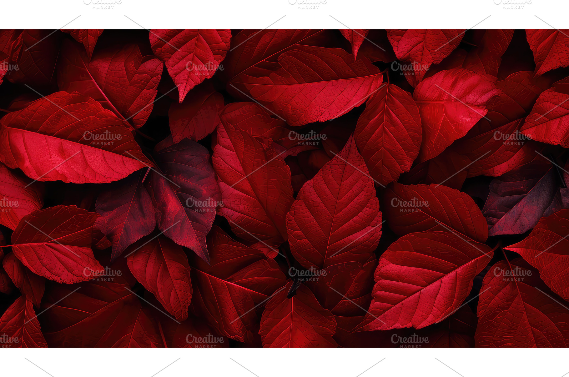 background red natural abstract, an Abstract Photo by pikepicture