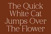 CS Calistha Disco, a Serif Font by Craft Supply Co. (Thumbnail 2 of 8)