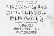 Anything, a Script Font by FreshTypeINK (Thumbnail 3 of 8)