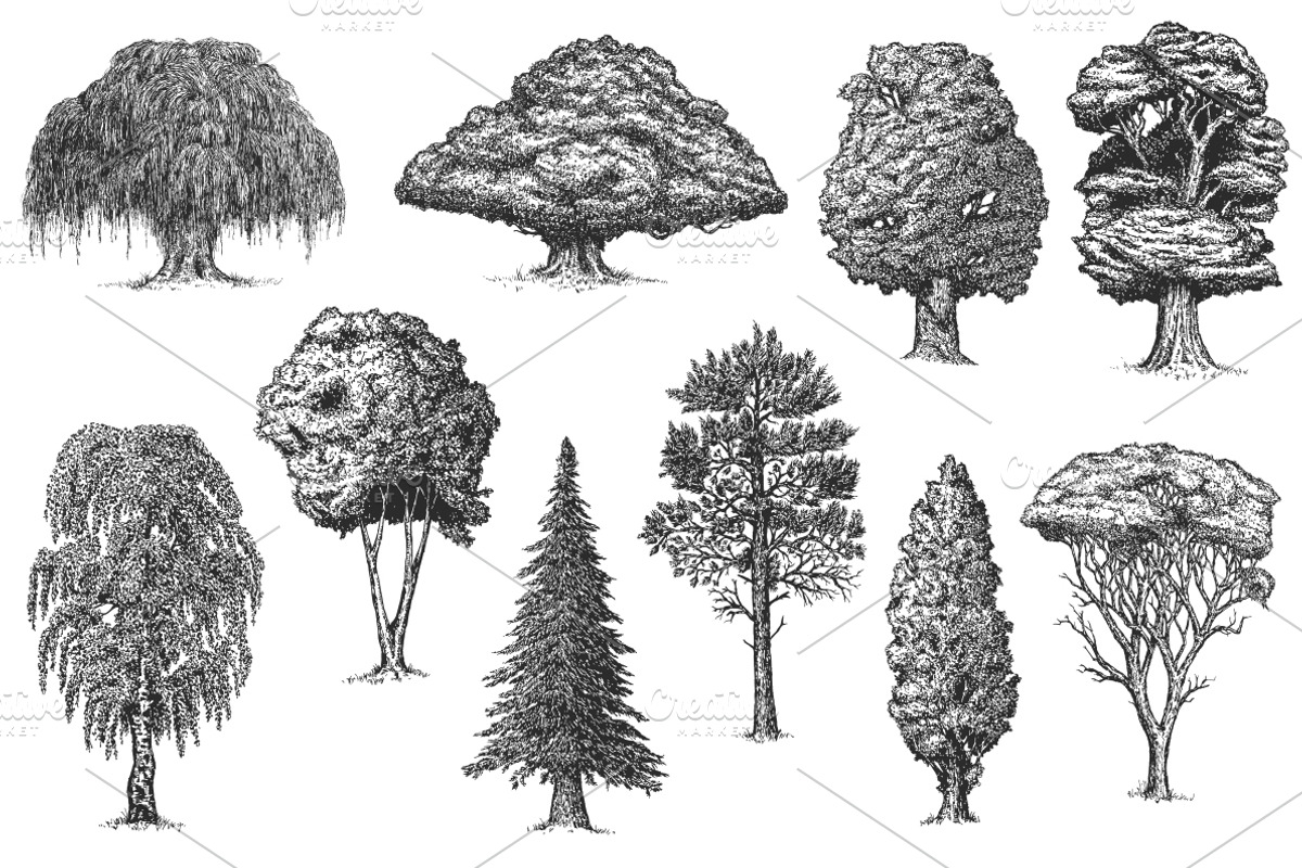 Trees, an Illustration by CGterminal (Photo 2 of 3)