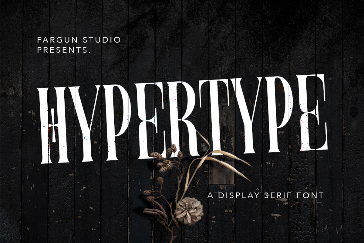 Hypertype : Elegant Serif Display, a Serif Font by Fargun Studio (Photo 1 of 20)